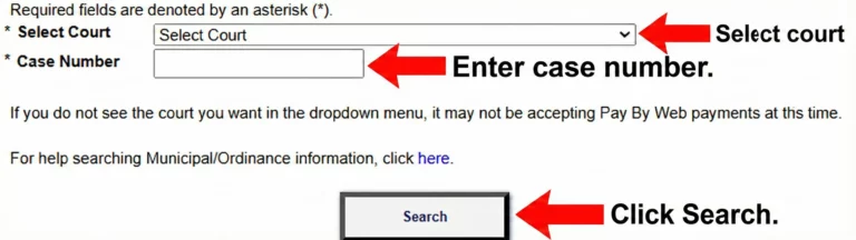 pay-by-web interface